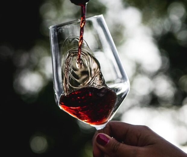 Barolo wijn: de koning van Piemonte in je glas