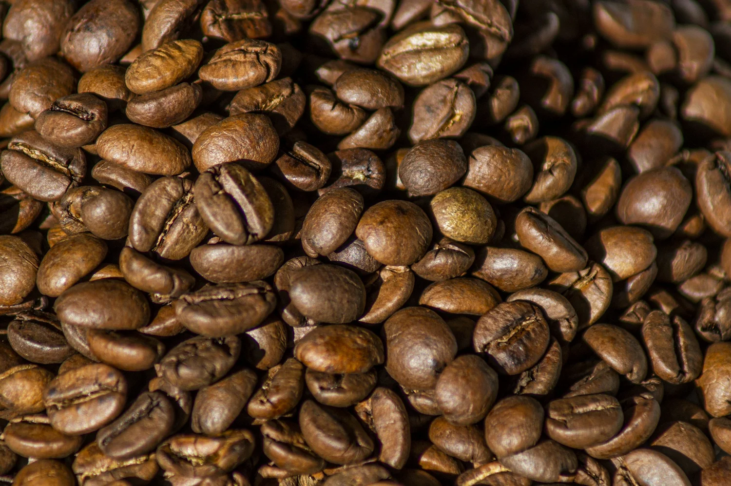 Koffiebonen — Lavazza A Modo Mio bij Franco Miscia